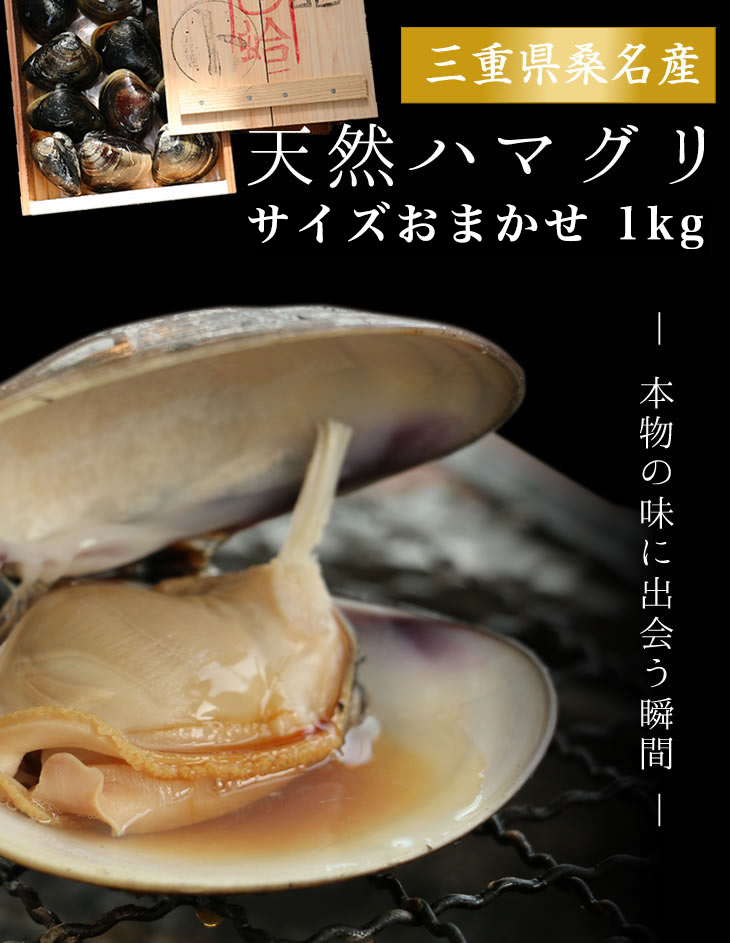 稀少な桑名産天然地蛤 1kg