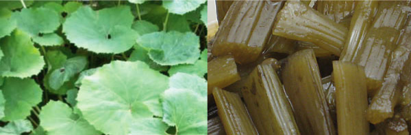 創業130年　喜太八しぐれ屋