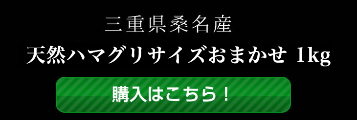 稀少な桑名産天然地蛤 1kg