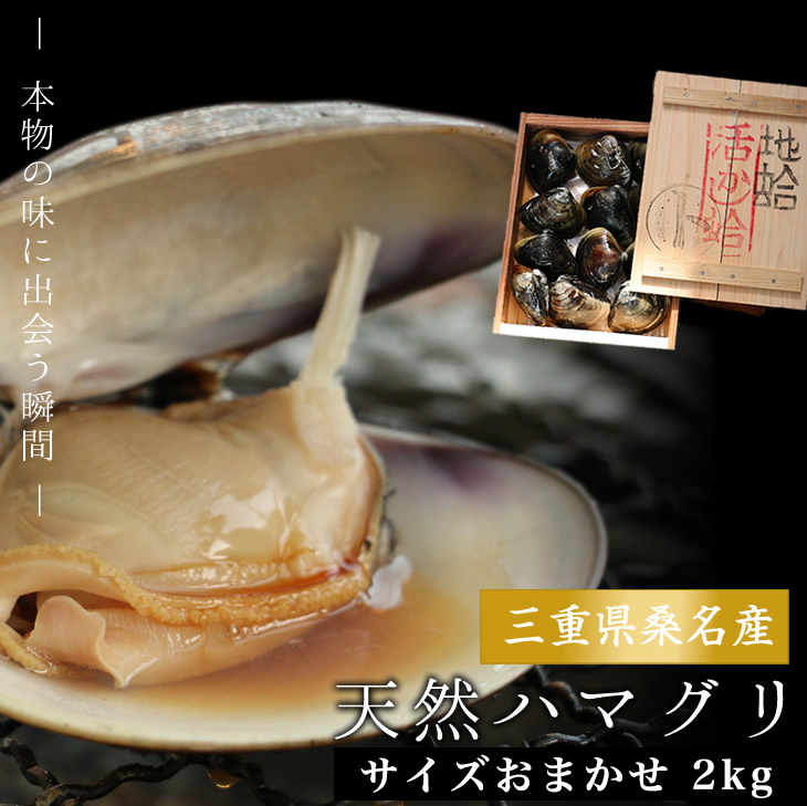 稀少な桑名産天然地蛤 2kg