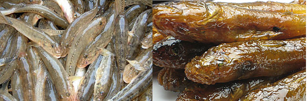 創業130年　喜太八しぐれ屋